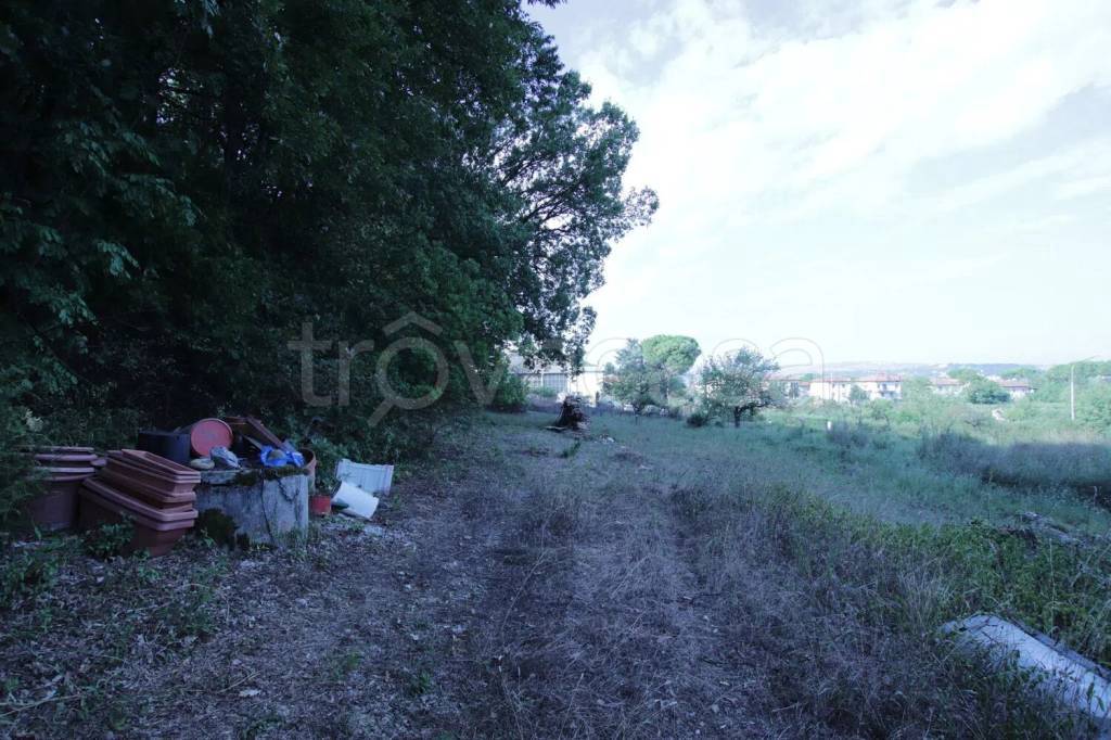 immagine annuncio 10 di 13