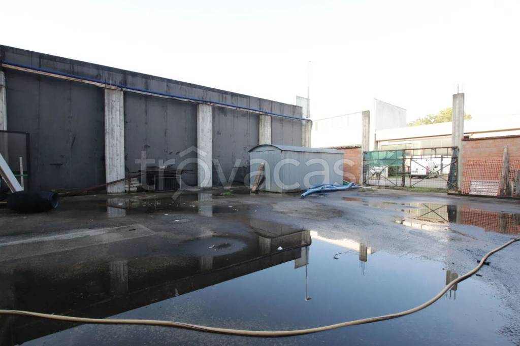 immagine annuncio 3 di 13