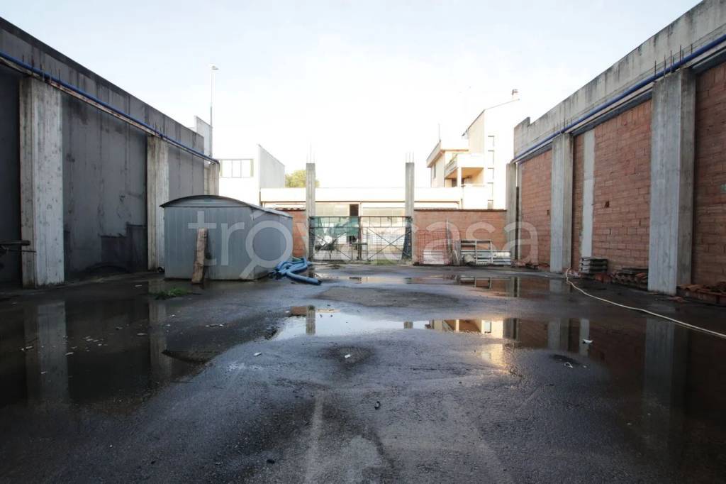 immagine annuncio 4 di 13