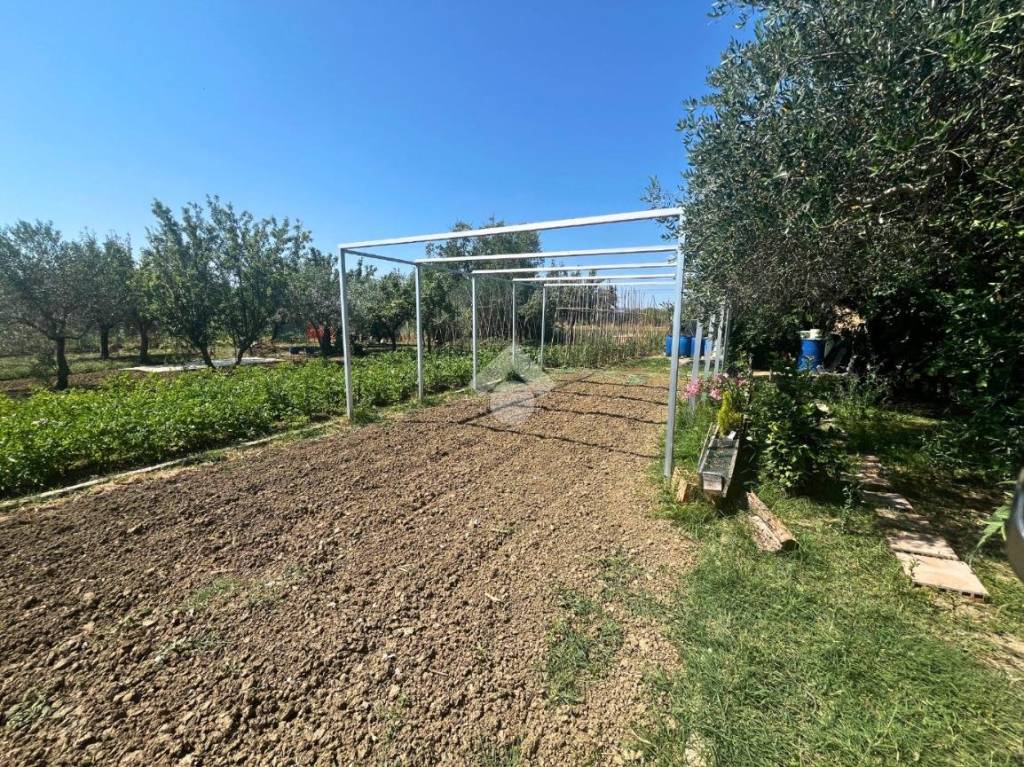 immagine annuncio 2 di 14