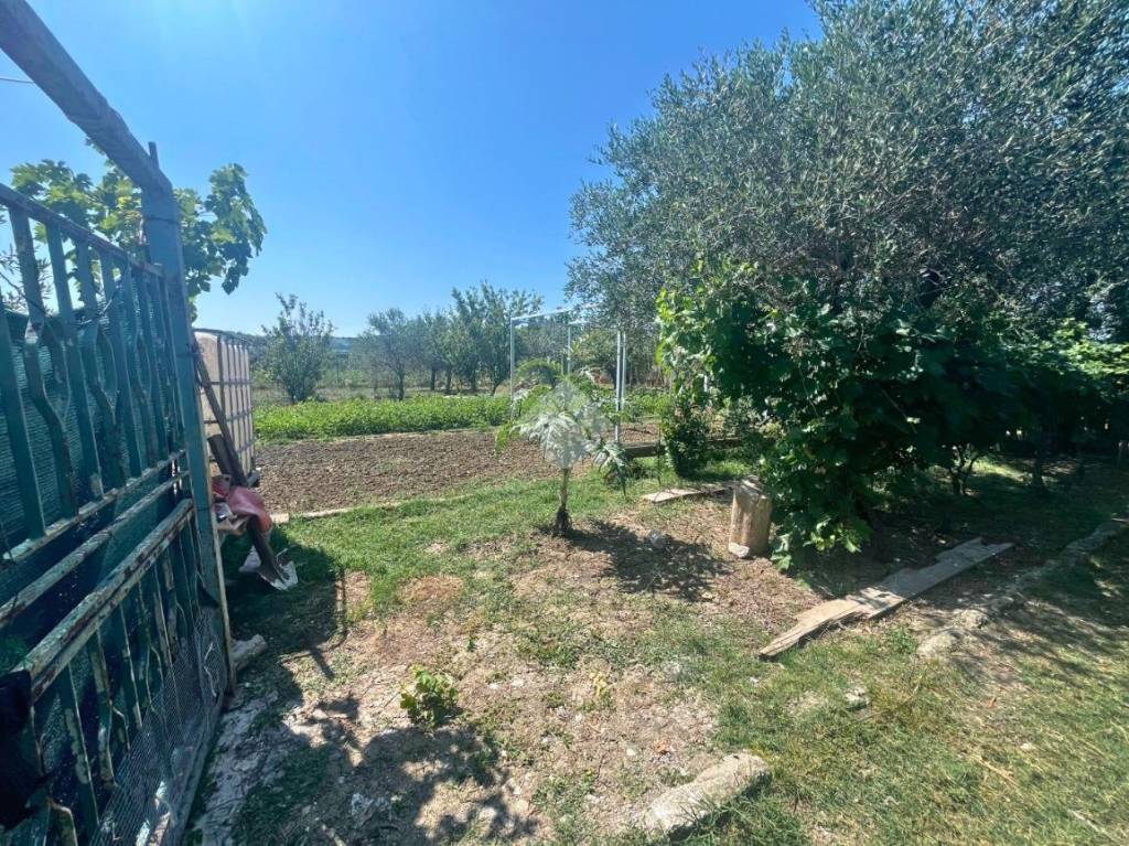 immagine annuncio 3 di 14