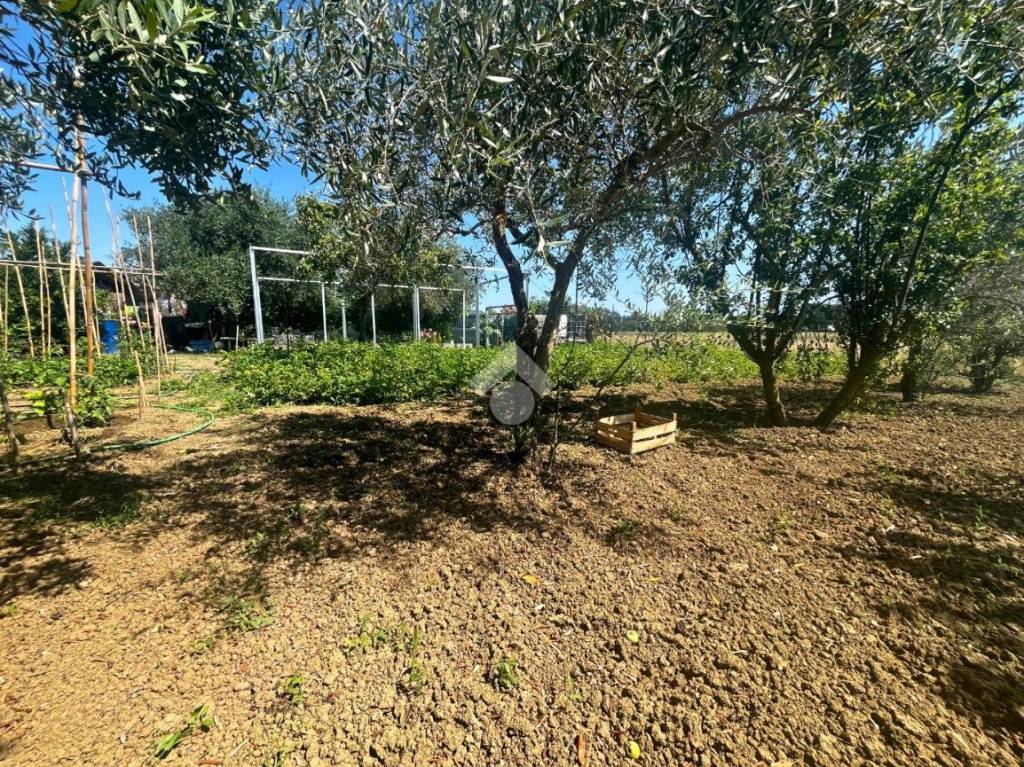 immagine annuncio 4 di 14