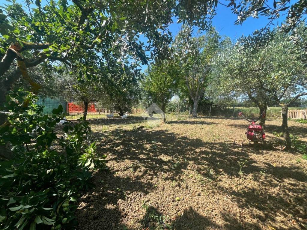 immagine annuncio 5 di 14