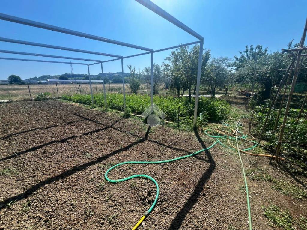 immagine annuncio 6 di 14