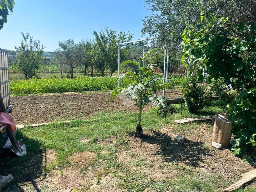 immagine annuncio 7 di 14