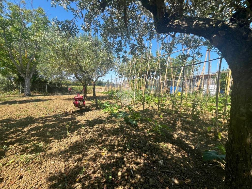 immagine annuncio 9 di 14