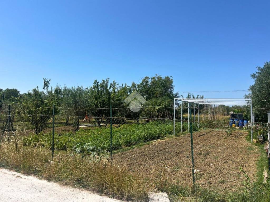 immagine annuncio 10 di 14