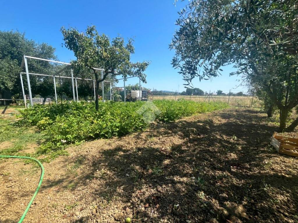 immagine annuncio 11 di 14