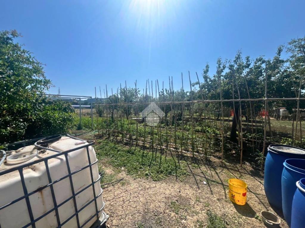 immagine annuncio 12 di 14