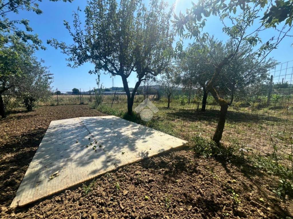 immagine annuncio 13 di 14