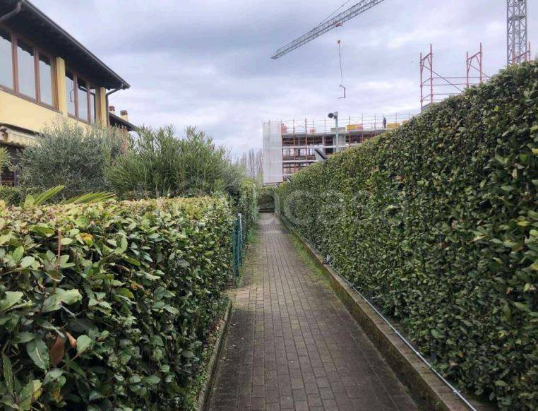 immagine annuncio 3 di 15