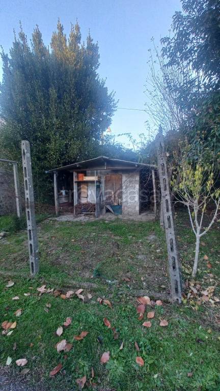 immagine annuncio 2 di 13