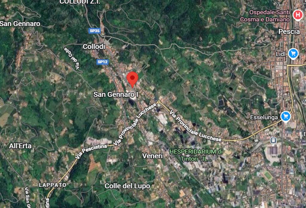 immagine annuncio 4 di 10