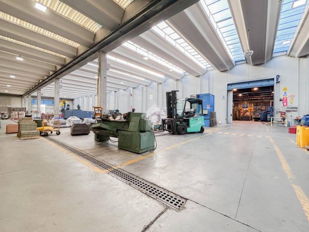 immagine annuncio 11 di 15