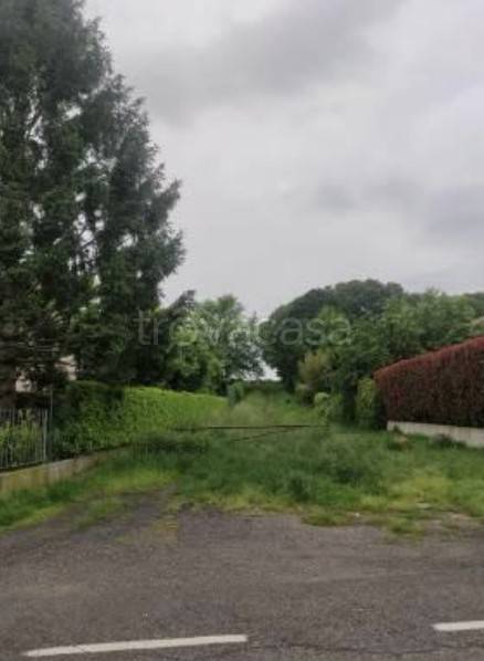 immagine annuncio 2 di 7