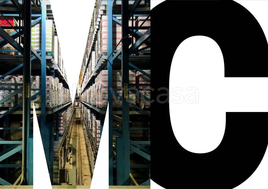 immagine annuncio 2 di 11