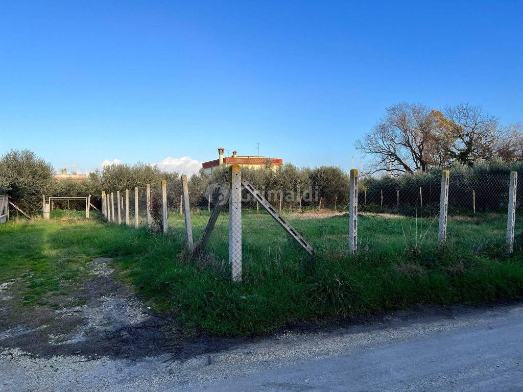 immagine annuncio 2 di 7