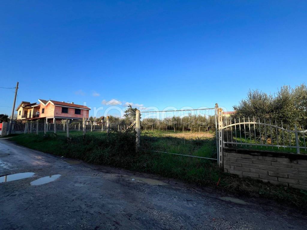 immagine annuncio 3 di 7