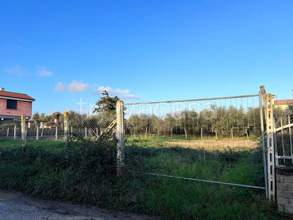 immagine annuncio 4 di 7