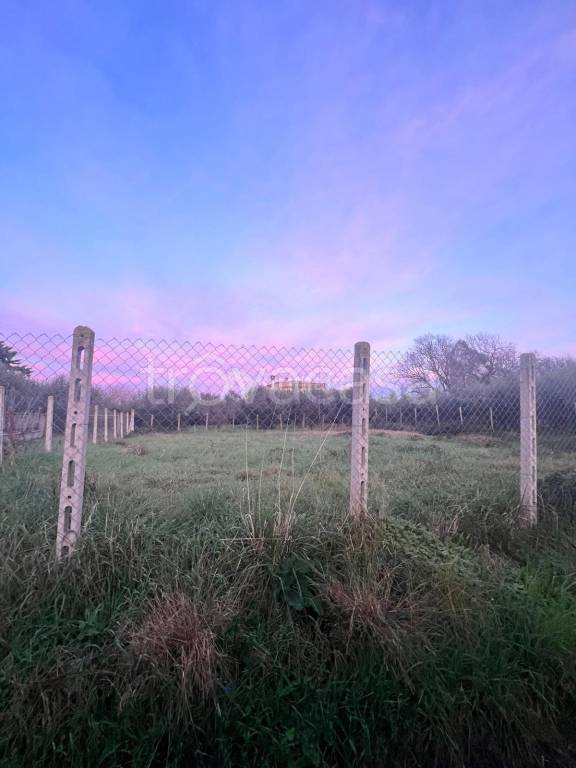 immagine annuncio 5 di 7