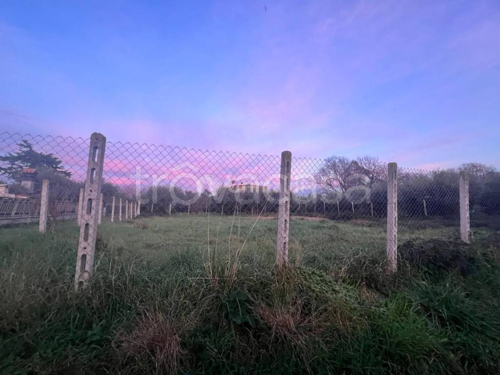 immagine annuncio 6 di 7