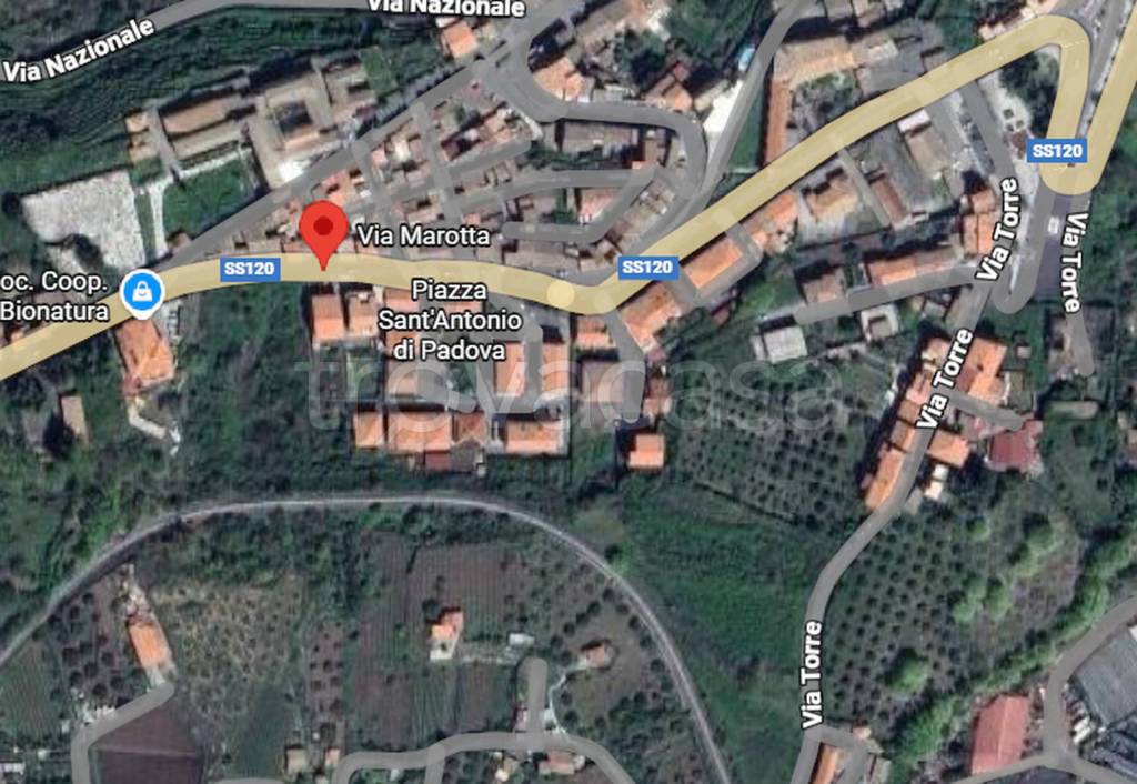 immagine annuncio 3 di 11