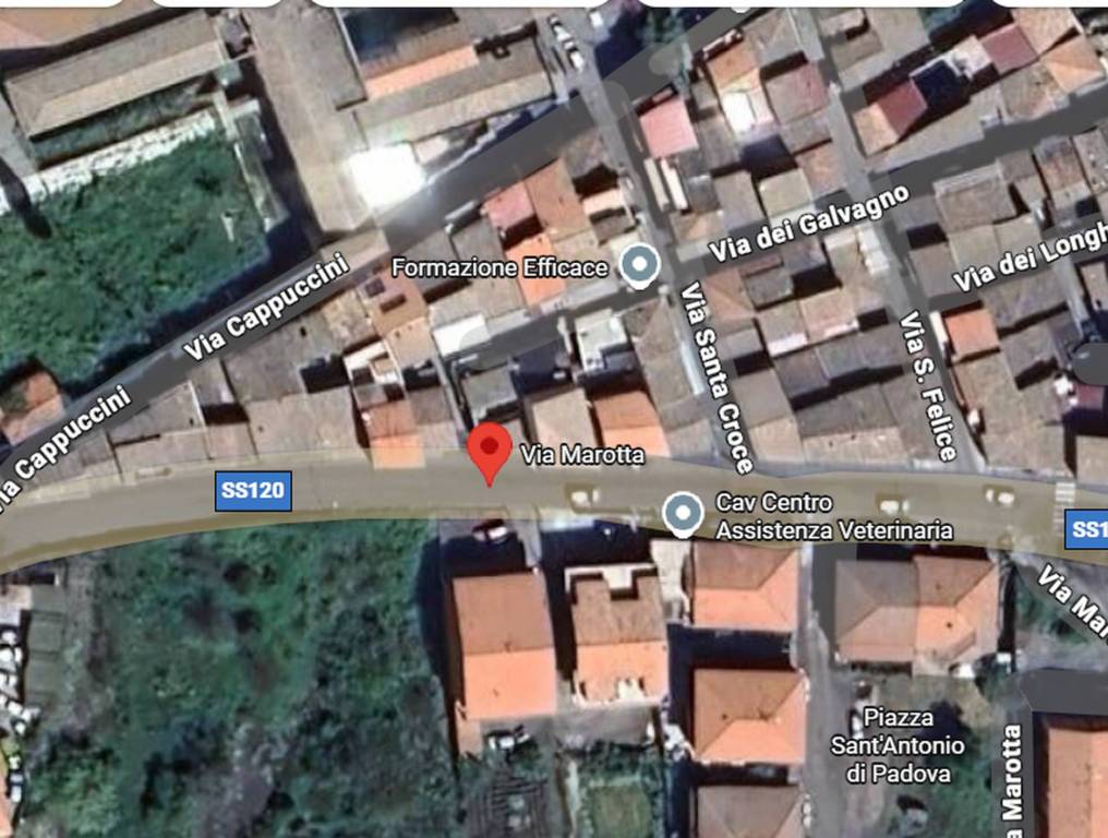 immagine annuncio 5 di 11