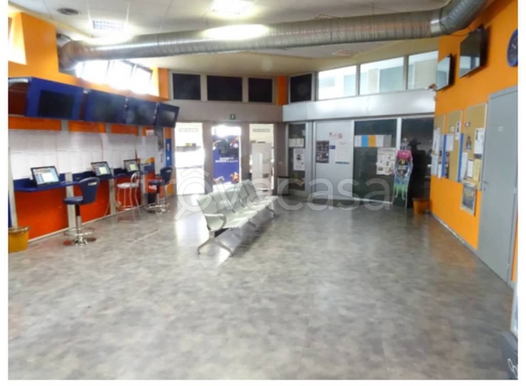 immagine annuncio 7 di 11