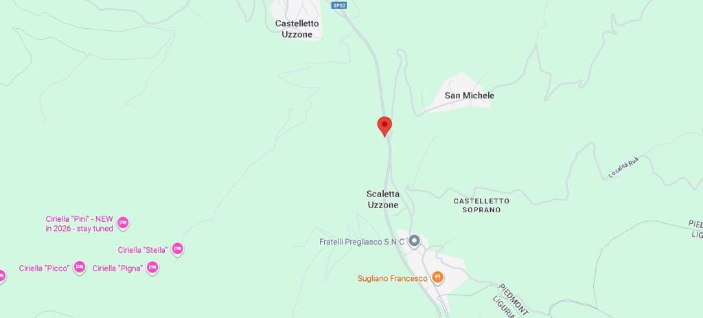 immagine annuncio 12 di 15