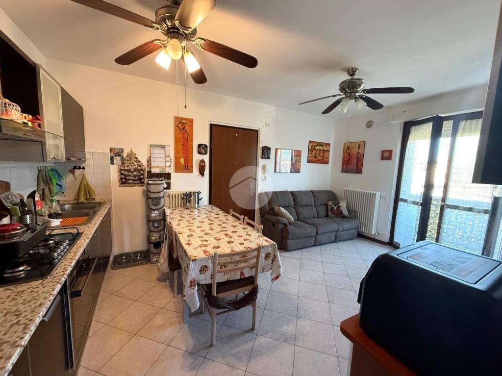 immagine annuncio 1 di 11