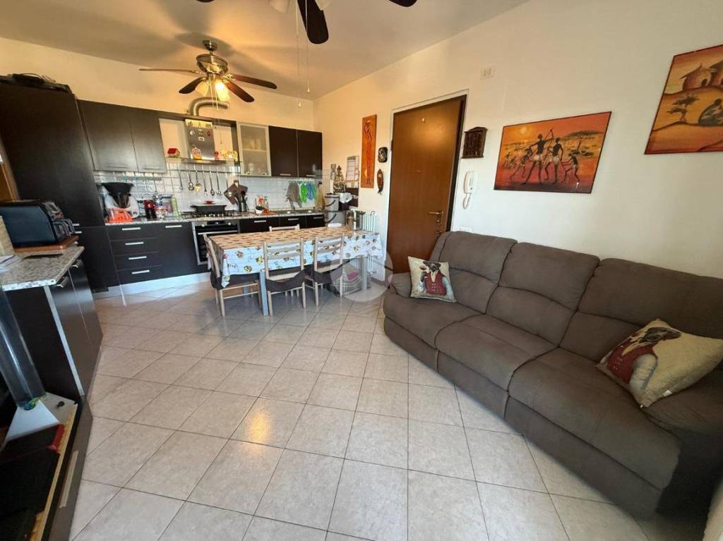 immagine annuncio 3 di 11