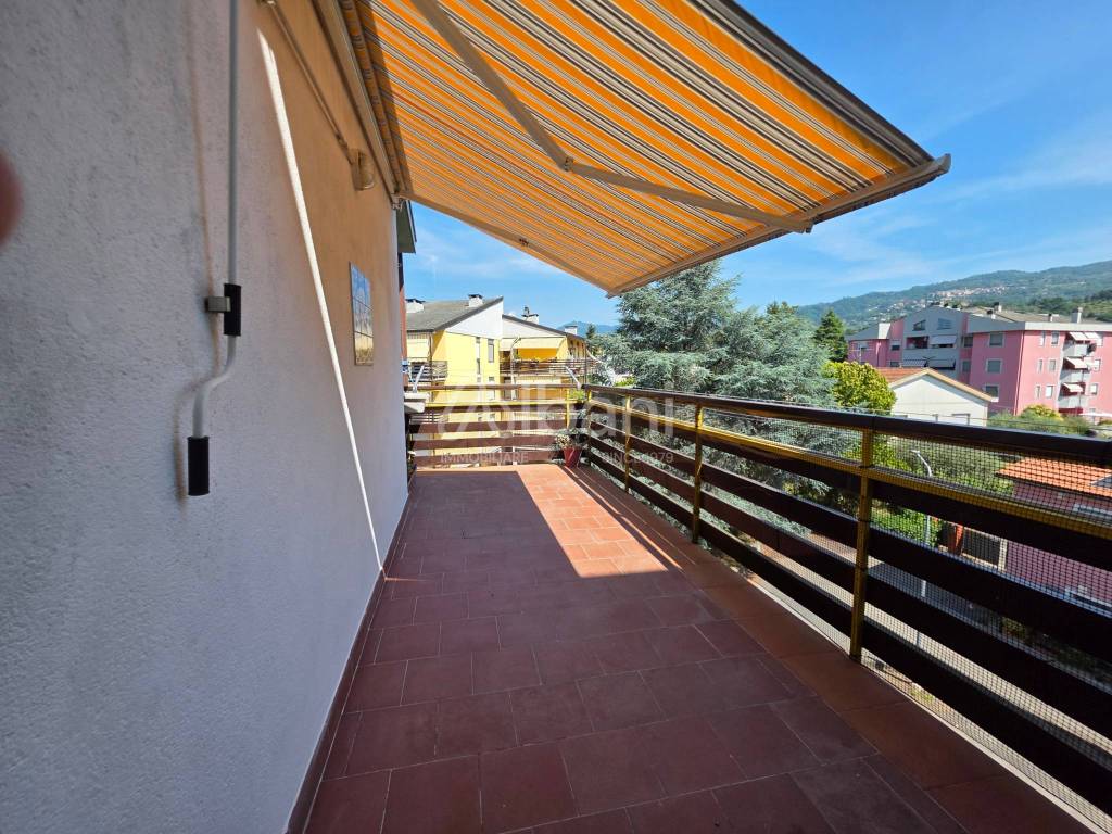 immagine annuncio 9 di 15