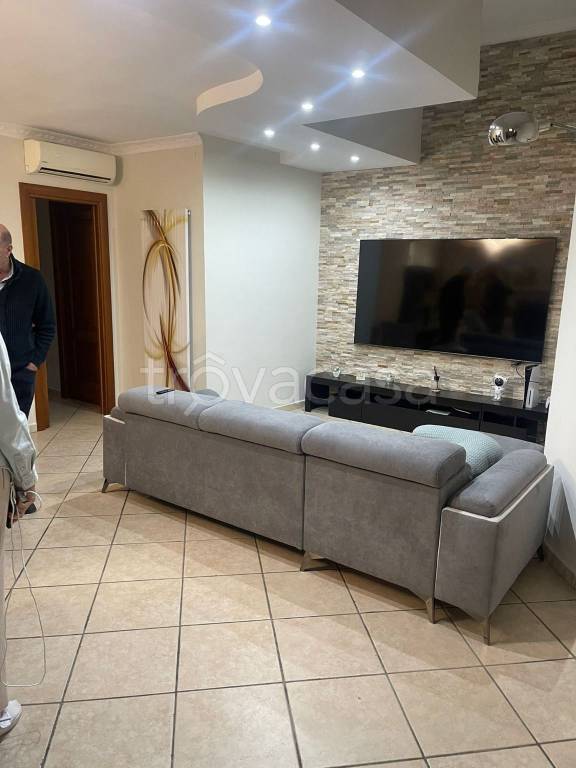 immagine annuncio 2 di 12