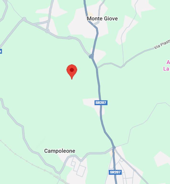 immagine annuncio 4 di 12