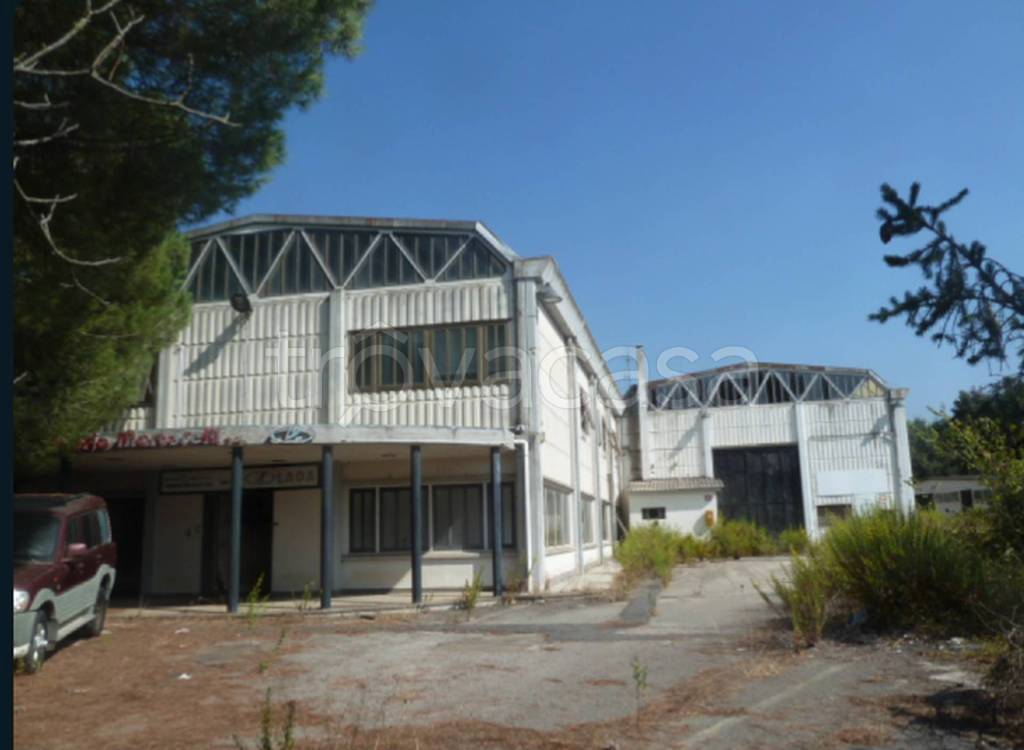 immagine annuncio 11 di 12