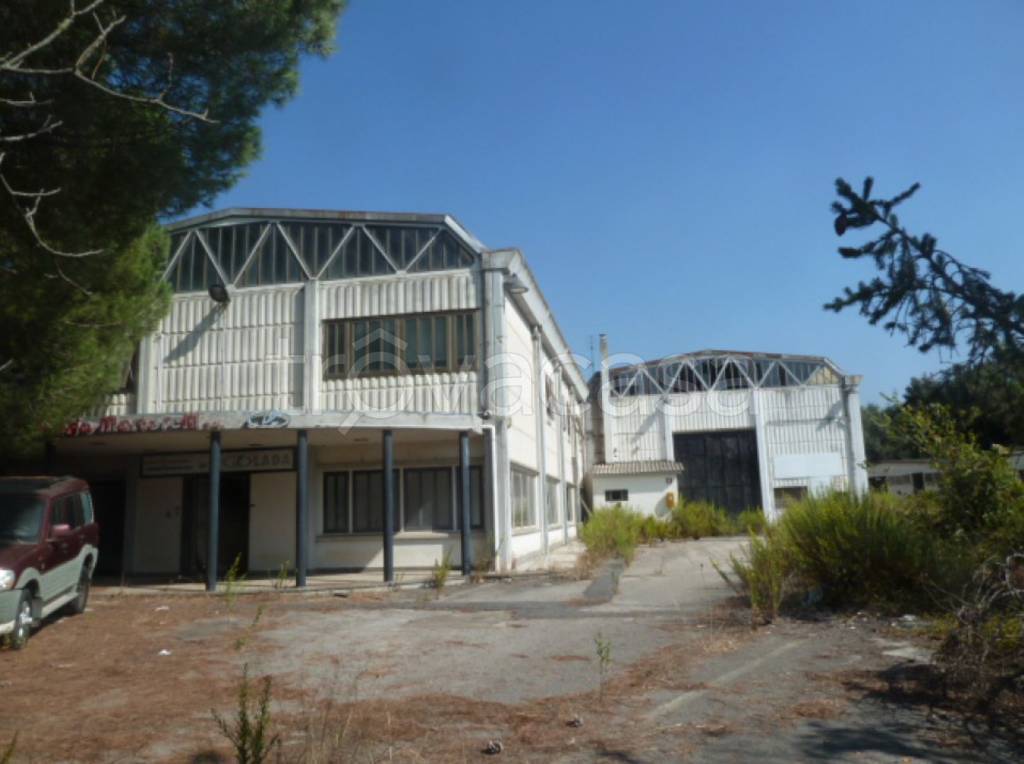 immagine annuncio 1 di 14