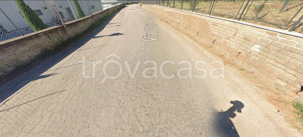 immagine annuncio 4 di 14