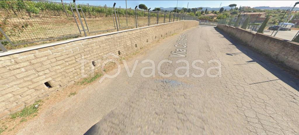 immagine annuncio 5 di 14