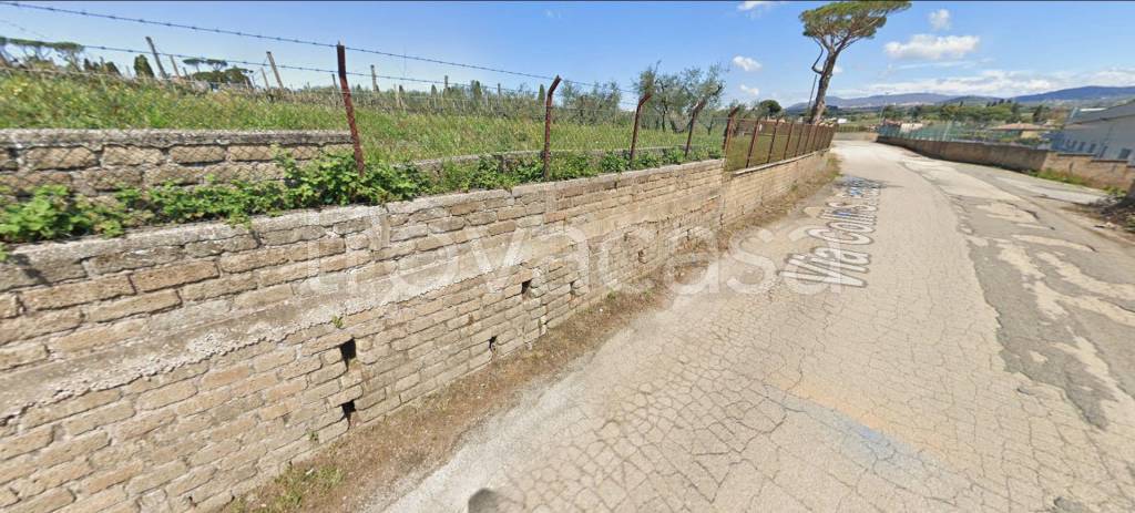 immagine annuncio 6 di 14