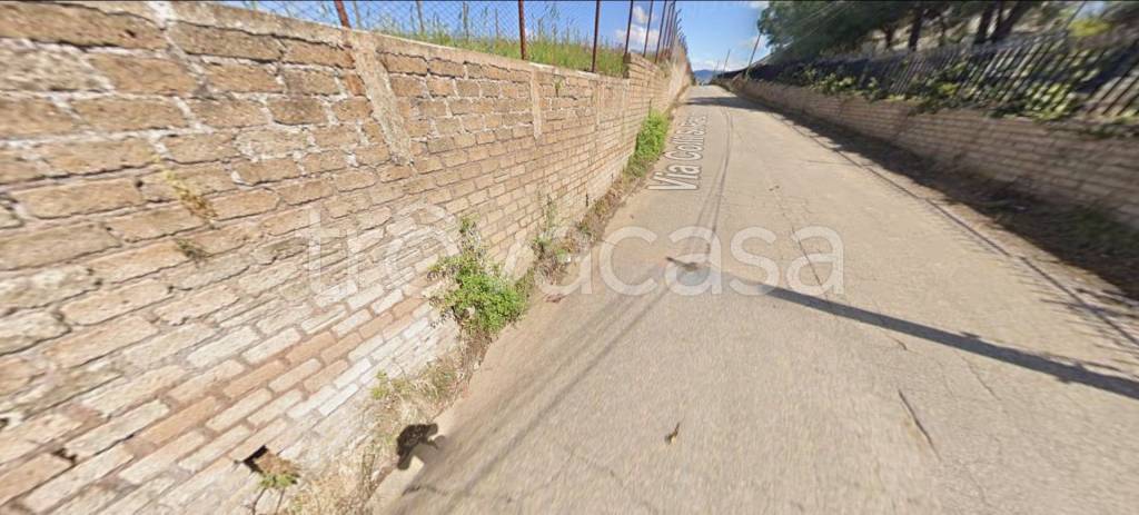 immagine annuncio 12 di 14