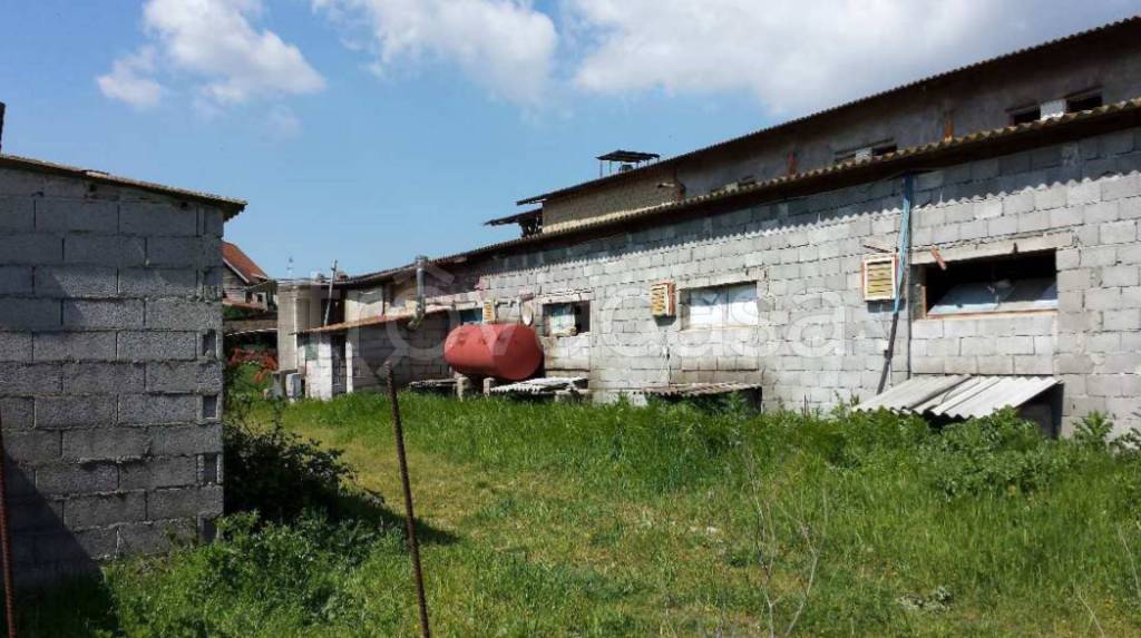 immagine annuncio 3 di 11