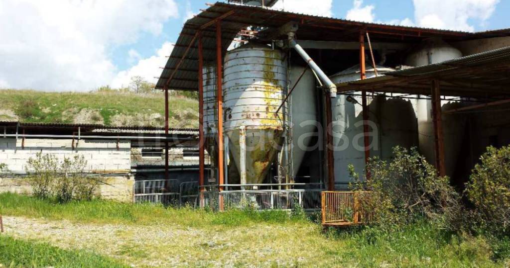 immagine annuncio 6 di 11