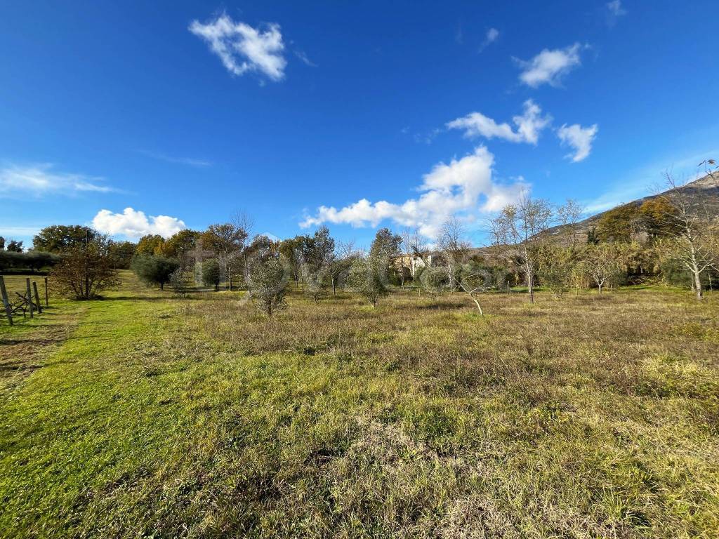 immagine annuncio 2 di 4