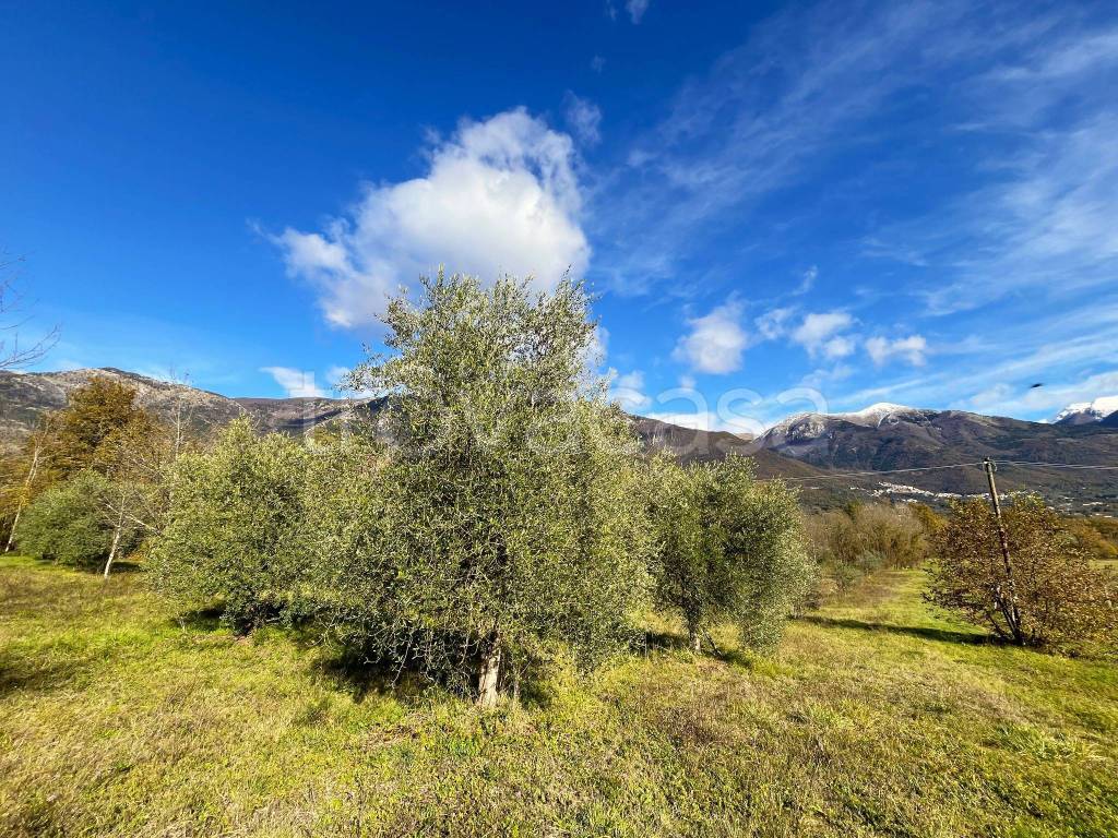 immagine annuncio 3 di 4