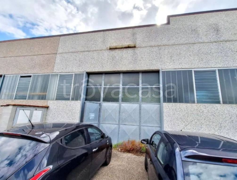 immagine annuncio 2 di 10