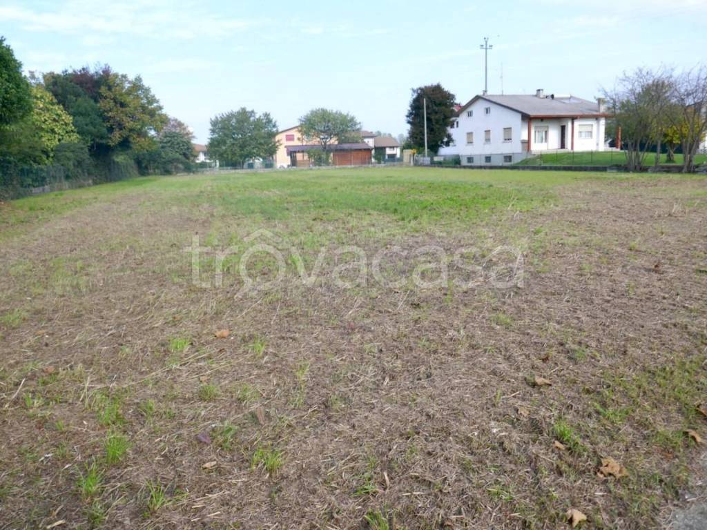 immagine annuncio 5 di 6