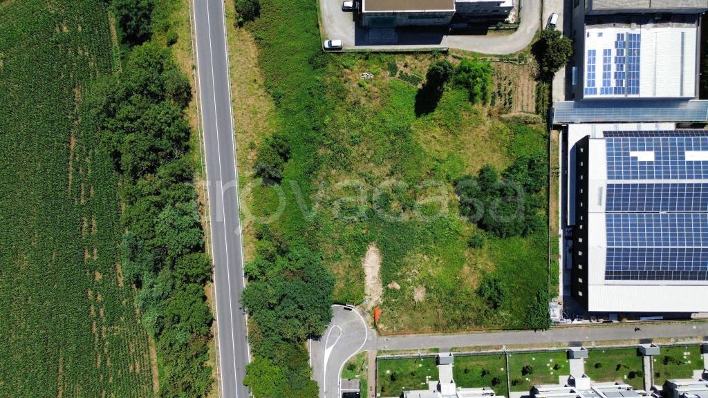 immagine annuncio 5 di 11