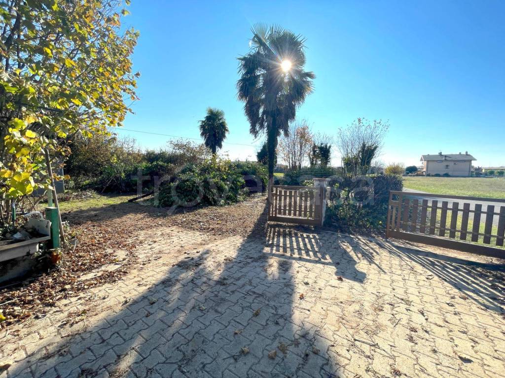 immagine annuncio 1 di 8