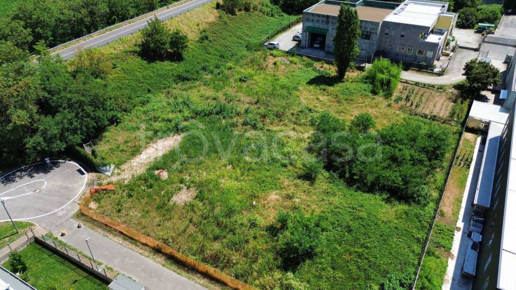 immagine annuncio 9 di 11