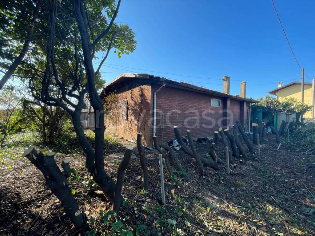 immagine annuncio 2 di 8